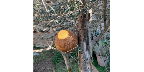 Terra portable Sketchup